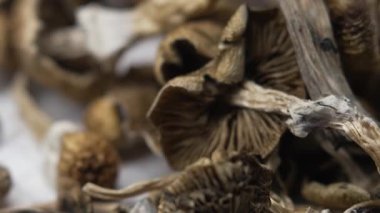 Kurutulmuş psilosibin mantarlarına yakın plan Altın Öğretmen
