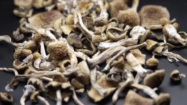 Kurutulmuş psilosibin mantarlarına yakın plan Altın Öğretmen