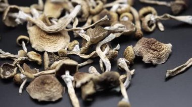 Kurutulmuş psilosibin mantarlarına yakın plan Altın Öğretmen
