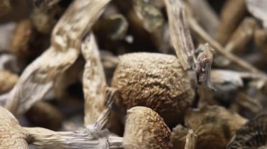 Kurutulmuş psilosibin mantarlarına yakın plan Altın Öğretmen