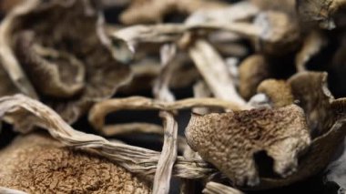 Kurutulmuş psilosibin mantarlarına yakın plan Altın Öğretmen