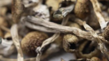 Kurutulmuş psilosibin mantarlarına yakın plan Altın Öğretmen