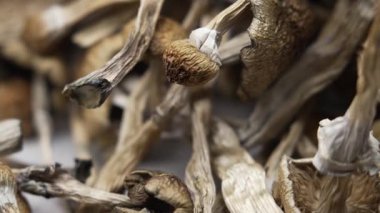 Kurutulmuş psilosibin mantarlarına yakın plan Altın Öğretmen