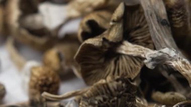 Kurutulmuş psilosibin mantarlarına yakın plan Altın Öğretmen