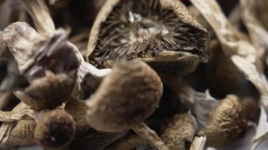 Kurutulmuş psilosibin mantarlarına yakın plan Altın Öğretmen