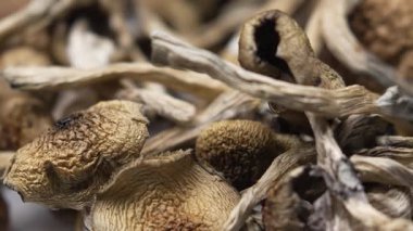Kurutulmuş psilosibin mantarlarına yakın plan Altın Öğretmen