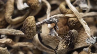 Kurutulmuş psilosibin mantarlarına yakın plan Altın Öğretmen