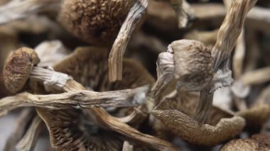 Kurutulmuş psilosibin mantarlarına yakın plan Altın Öğretmen