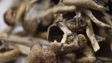 Kurutulmuş psilosibin mantarlarına yakın plan Altın Öğretmen