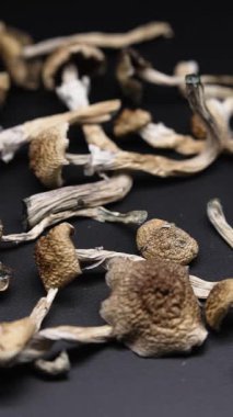 Kurutulmuş sihirli mantarların dikey videosu Altın Öğretmen