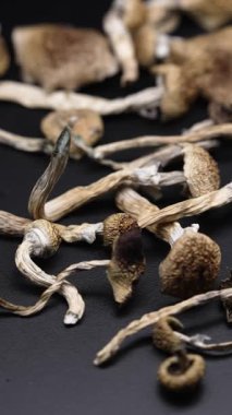 Kurutulmuş sihirli mantarların dikey videosu Altın Öğretmen