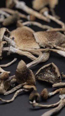 Kurutulmuş sihirli mantarların dikey videosu Altın Öğretmen