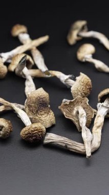 Kurutulmuş sihirli mantarların dikey videosu Altın Öğretmen