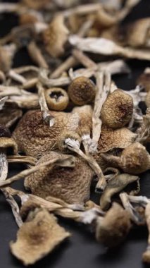 Kurutulmuş sihirli mantarların dikey videosu Altın Öğretmen