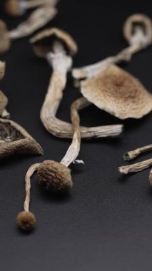 Kurutulmuş sihirli mantarların dikey videosu Altın Öğretmen