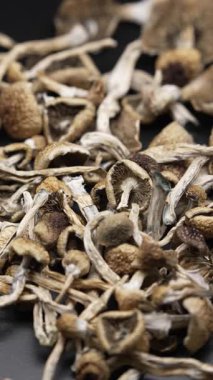 Kurutulmuş sihirli mantarların dikey videosu Altın Öğretmen