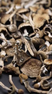 Kurutulmuş sihirli mantarların dikey videosu Altın Öğretmen