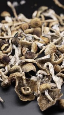 Kurutulmuş sihirli mantarların dikey videosu Altın Öğretmen