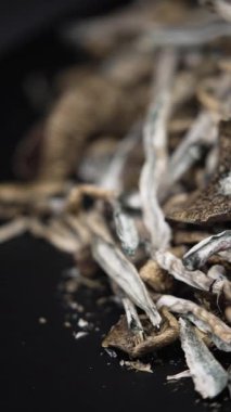 Altın Öğretmen psilosibin mantarlarının dikey videosu