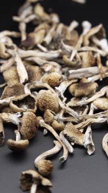 Altın Öğretmen psilosibin mantarlarının dikey videosu