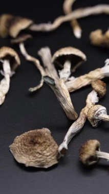 Altın Öğretmen psilosibin mantarlarının dikey videosu