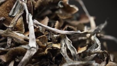 Kurutulmuş psilosibin mantarlarına yakın plan Altın Öğretmen