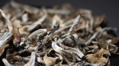 Kurutulmuş psilosibin mantarlarına yakın plan Altın Öğretmen