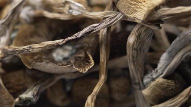 Kurutulmuş psilosibin mantarlarına yakın plan Altın Öğretmen