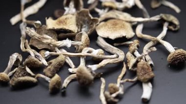 Kurutulmuş psilosibin mantarlarına yakın plan Altın Öğretmen