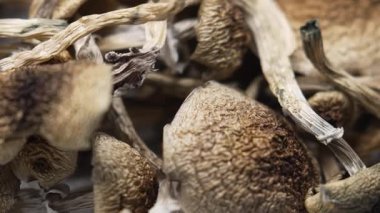 Kurutulmuş psilosibin mantarlarına yakın plan Altın Öğretmen