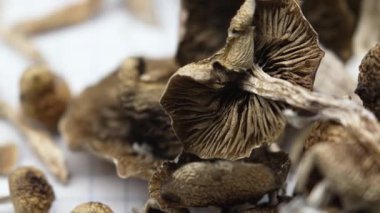 Kurutulmuş psilosibin mantarlarına yakın plan Altın Öğretmen