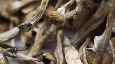 Kurutulmuş psilosibin mantarlarına yakın plan Altın Öğretmen