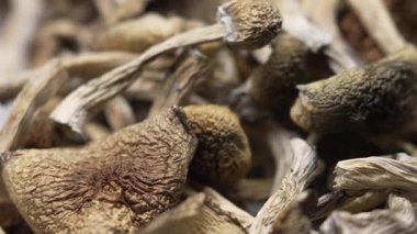 Kurutulmuş psilosibin mantarlarına yakın plan Altın Öğretmen