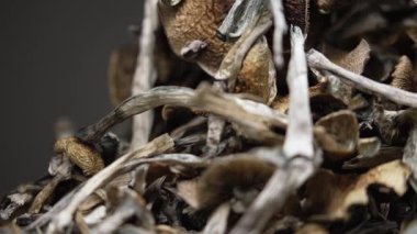 Kurutulmuş psilosibin mantarlarına yakın plan Altın Öğretmen