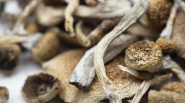 Kurutulmuş psilosibin mantarlarına yakın plan Altın Öğretmen