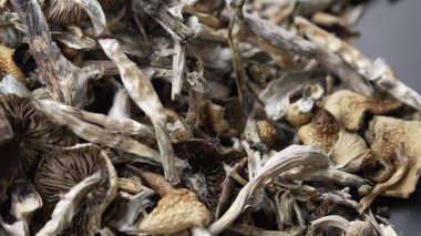 Kurutulmuş psilosibin mantarlarına yakın plan Altın Öğretmen