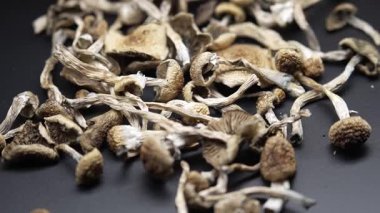 Sihirli mantarlar - kurutulmuş psilosibin mantarları Altın Öğretmen