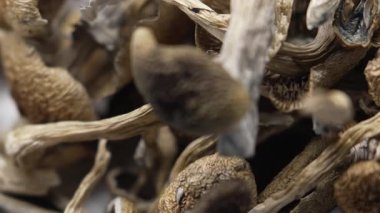 Sihirli mantarlar - kurutulmuş psilosibin mantarları Altın Öğretmen