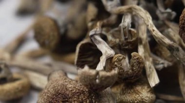 Sihirli mantarlar - kurutulmuş psilosibin mantarları Altın Öğretmen