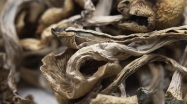 Kurutulmuş psilosibin mantarları Altın Öğretmen, yakın plan.