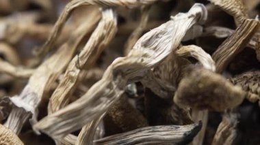 Kurutulmuş psilosibin mantarları Altın Öğretmen, yakın plan.