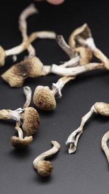 Kurumuş psilosibin mantarlarının dikey videosu