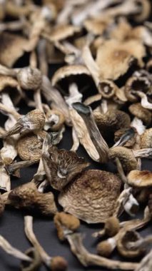 Kurumuş psilosibin mantarlarının dikey videosu