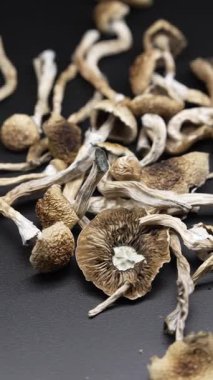 Kurumuş psilosibin mantarlarının dikey videosu