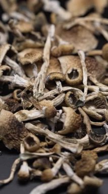 Kurumuş psilosibin mantarlarının dikey videosu