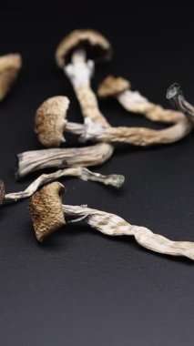 Enteojenlerin dikey videosu - psilosibin mantarları Altın Öğretmen