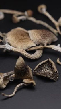 Enteojenlerin dikey videosu - psilosibin mantarları Altın Öğretmen