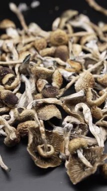 Enteojenlerin dikey videosu - psilosibin mantarları Altın Öğretmen