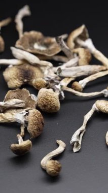 Enteojenlerin dikey videosu - psilosibin mantarları Altın Öğretmen