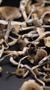 Enteojenlerin dikey videosu - psilosibin mantarları Altın Öğretmen